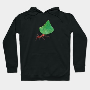 Ant carrying big leaf Hoodie